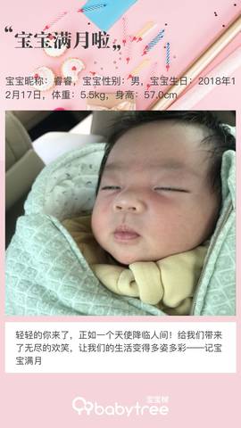 journal_insert_pic_1167093376