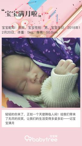journal_insert_pic_1167790333