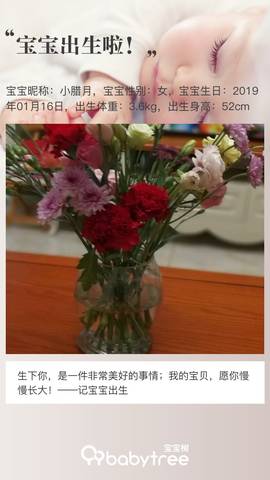 journal_insert_pic_1167444677
