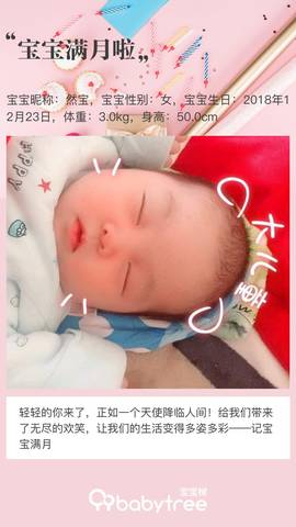 journal_insert_pic_1167779073