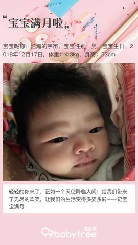 journal_insert_pic_1167397511