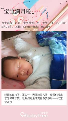 journal_insert_pic_1167464716