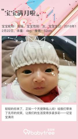 journal_insert_pic_1167888540