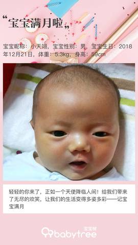 journal_insert_pic_1168054717