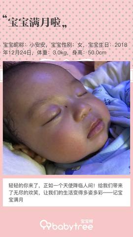 journal_insert_pic_1167822142