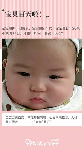 journal_insert_pic_1168057458