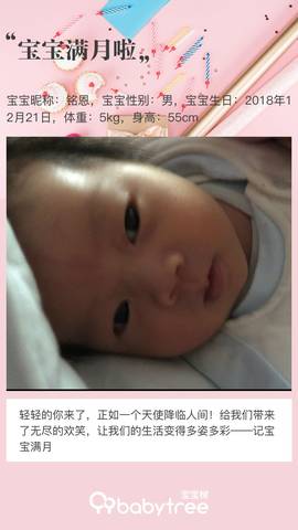 journal_insert_pic_1168366507