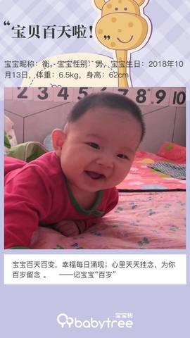 journal_insert_pic_1168517850