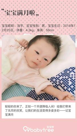 journal_insert_pic_1168879941