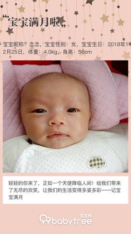 journal_insert_pic_1170119143