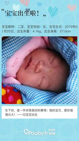 journal_insert_pic_1170573954