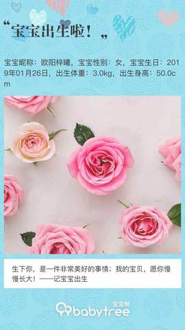 journal_insert_pic_1170788224