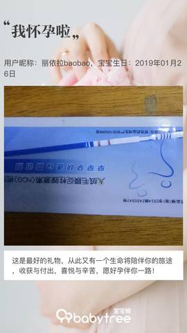 journal_insert_pic_1170869133