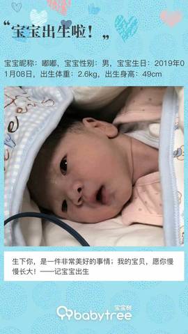 journal_insert_pic_1171218101