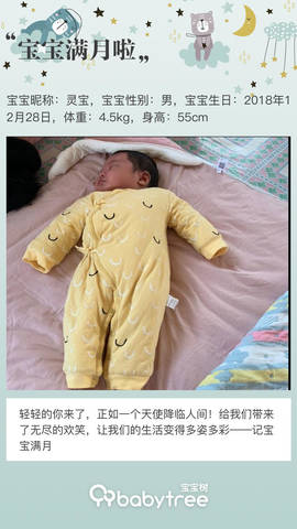 journal_insert_pic_1171401661