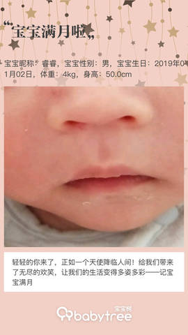 journal_insert_pic_1172233414
