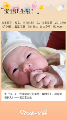 journal_insert_pic_1172710242