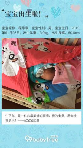 journal_insert_pic_1173279661