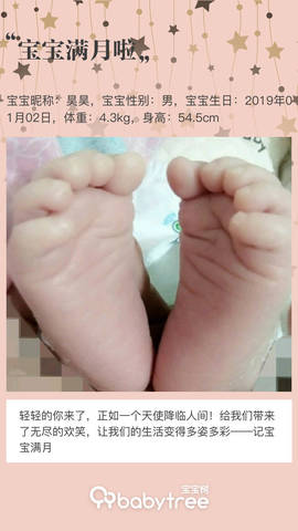 journal_insert_pic_1173831437