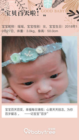 journal_insert_pic_1173842129