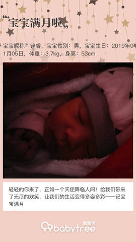 journal_insert_pic_1174191004