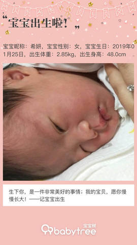 journal_insert_pic_1175060653
