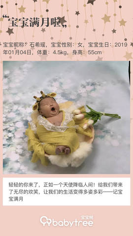 journal_insert_pic_1175311678