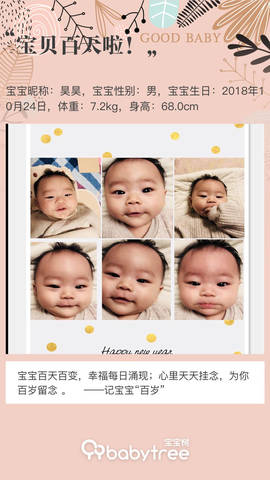 journal_insert_pic_1175210775
