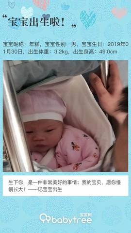 journal_insert_pic_1175570464