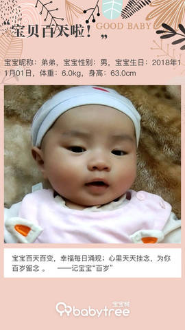 journal_insert_pic_1176740503