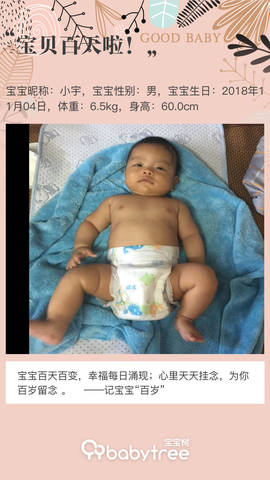 journal_insert_pic_1176894521