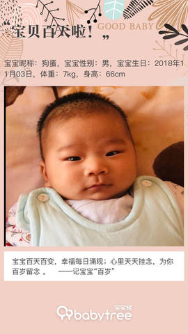 journal_insert_pic_1178106255