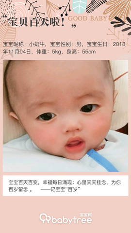 journal_insert_pic_1179944145