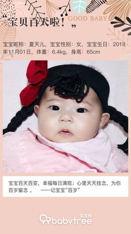 journal_insert_pic_1180080707