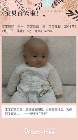 journal_insert_pic_1180302776