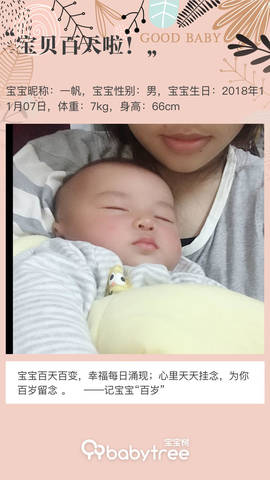 journal_insert_pic_1181515086