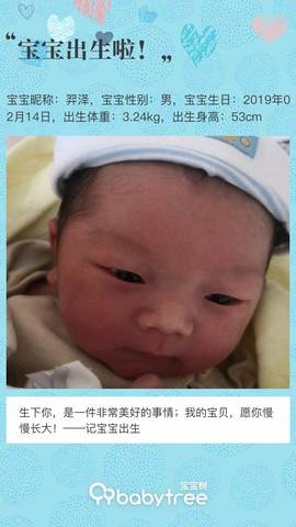 journal_insert_pic_1182091690