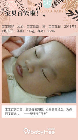 journal_insert_pic_1184492665