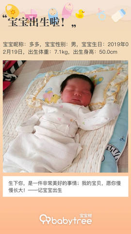 journal_insert_pic_1186545559