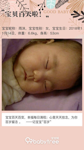 journal_insert_pic_1186516610