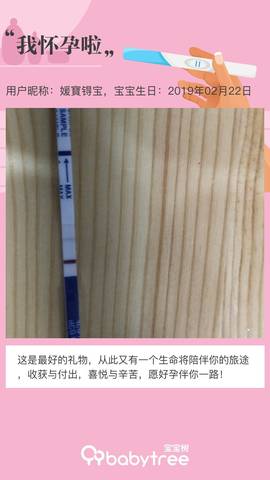 journal_insert_pic_1186784418