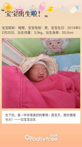 journal_insert_pic_1189040312