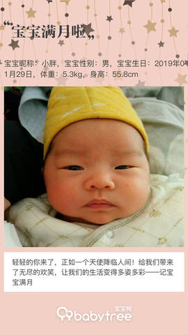 journal_insert_pic_1190480898