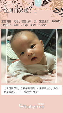 journal_insert_pic_1191133374