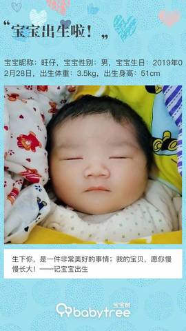journal_insert_pic_1191553543