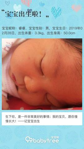 journal_insert_pic_1192077917