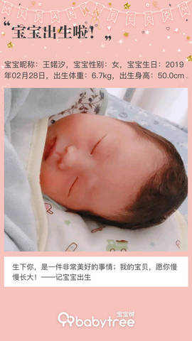 journal_insert_pic_1192156125