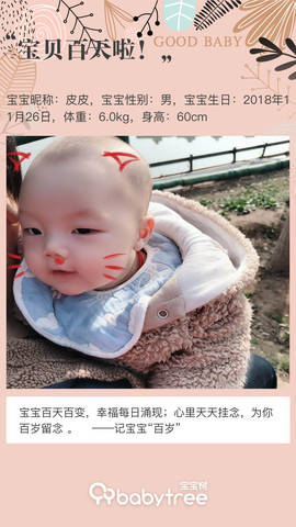 journal_insert_pic_1193656580