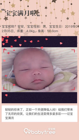 journal_insert_pic_1194252439