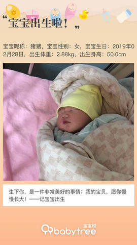 journal_insert_pic_1194354383